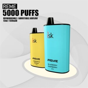 REME 5000 Puffs Disposable POD Philippines na may Rechargeable at Adjustable Airflow