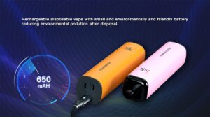 ISK047 Disposable POD 5000 Puff na may Adjustable airflow at Rechargeable na baterya Philippines