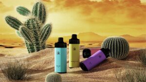 ISK053 15000 Puffs Disposable Vape POD empty Cartridges with adjustable airflow at light DTL and MTL